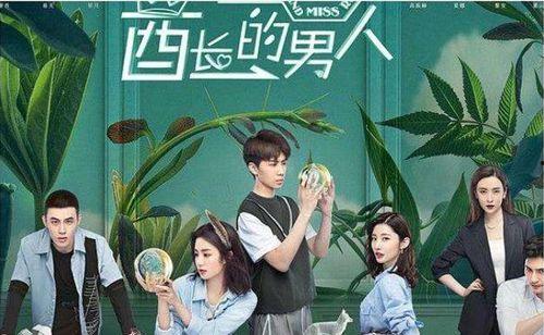 高甜片段非国产在线观看,全球高甜片段在线盛宴