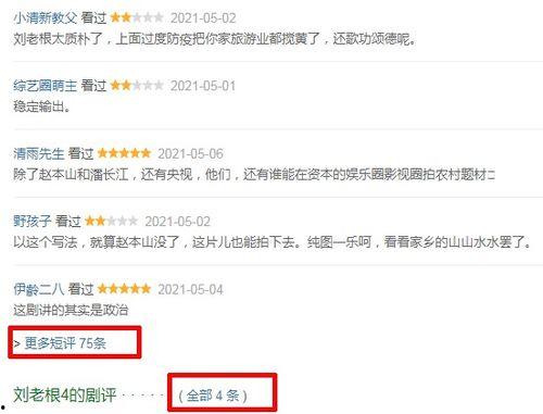 国产说嘛在线,探寻中国本土语言的魅力与传承