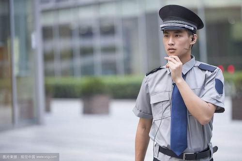 国产剧情保安篇在线观看,守护正义的平凡英雄