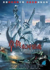 章鱼电影国产片在线观看,海量佳作一网打尽