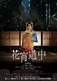 神马午夜国产在线电影,揭秘国产在线电影的热门秘密